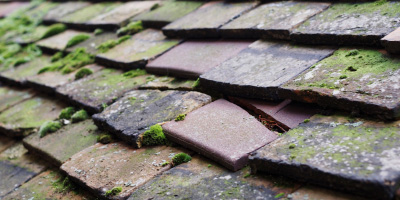 Aston On Clun roof repair costs